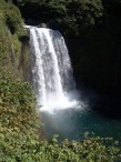 06100803