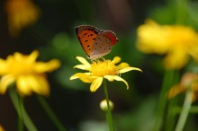 070909_b1