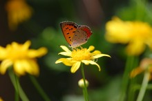070909_b2