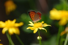 070909_b2