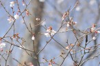 20090403_37