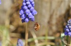 20090403_40