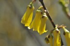 20090403_42