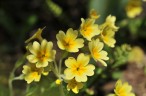 20090403_44