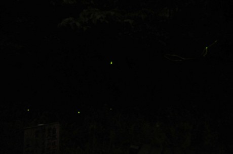 20090606_01